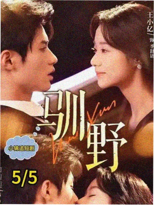 漫改与原创题材并行的排期示意